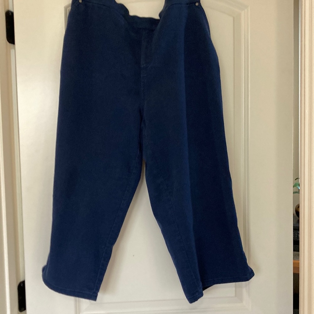 Intro Blue Wide-Leg Capris with Cuffed Hem